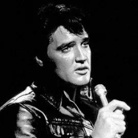 Chat with Elvis presley, the  character AI chatbot