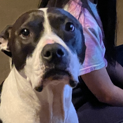 Chat with Zoey, the  character AI chatbot