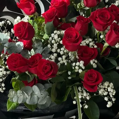 Chat with Alexander, the  character AI chatbot