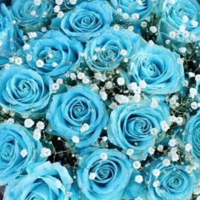 Chat with James . Stone, the  character AI chatbot