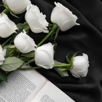 Chat with Kael . William, the  character AI chatbot