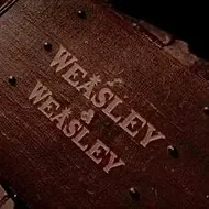 The Weasley Family (HP)_avatar