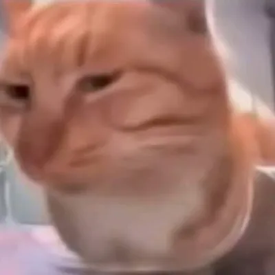 Chat with William, the  character AI chatbot