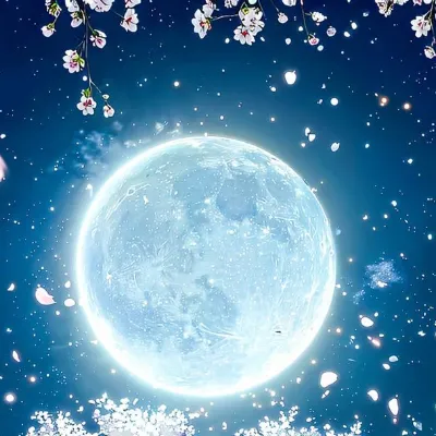 Chat with Classmates, the Anime character AI chatbot