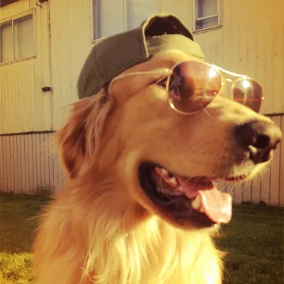 Chat with Robert Andor, the  character AI chatbot