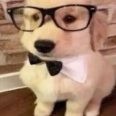 Chat with Laurence Moreau, the Romance character AI chatbot