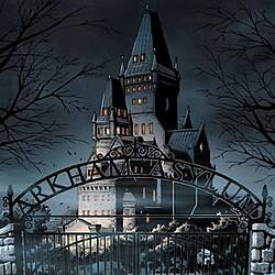 🦇ARKHAM ASYLUM🦇_avatar