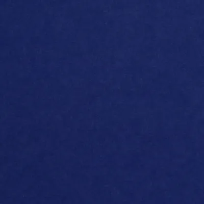 Chat with Ronaldo house, the  character AI chatbot