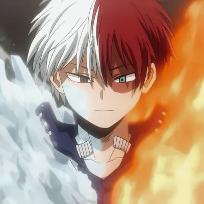 Shoto Todoroki_avatar
