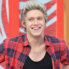 Chat with Niall Horan, the  character AI chatbot