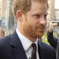 Chat with Prince Harry, the RPG character AI chatbot
