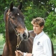 Chat with Jasper King, the  character AI chatbot