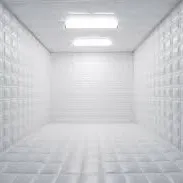 Chat with asylum life, the  character AI chatbot