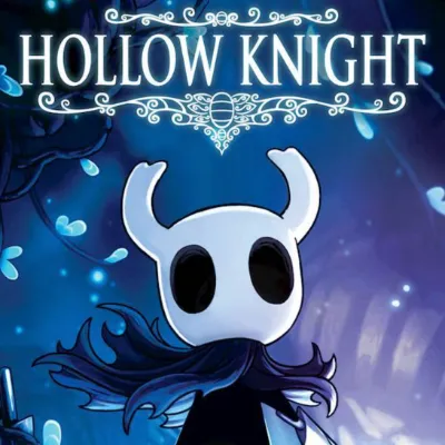 Hollow knight RPG_avatar
