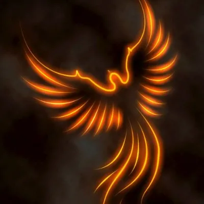 Chat with Phoenix Primordiales, the  character AI chatbot