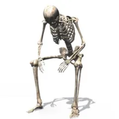 Chat with Skeleton, the OC character AI chatbot