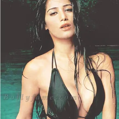 Chat with Catherine, the  character AI chatbot