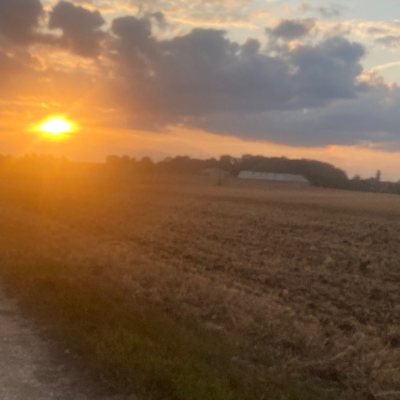 Chat with Nathalie zee, the Anime character AI chatbot