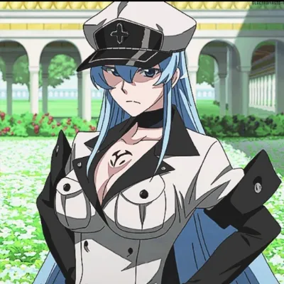 Chat with Esdeath {{N5FW}}, the Anime character AI chatbot