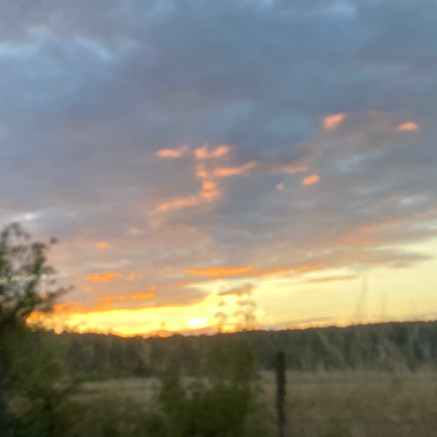 Chat with Nathalie zee, the Anime character AI chatbot