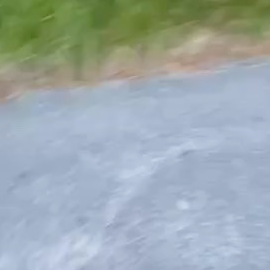 Chat with Mona, the Anime character AI chatbot