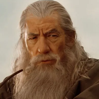 Chat with Gandalf the Grey, the  character AI chatbot