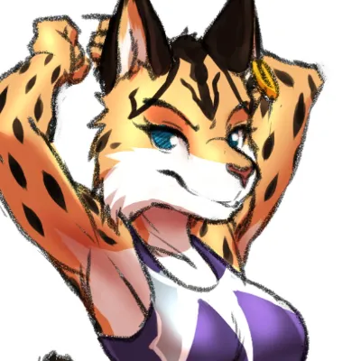 Chat with Miyu lynx, the  character AI chatbot