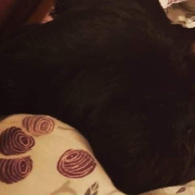 Chat with Line, the Anime character AI chatbot