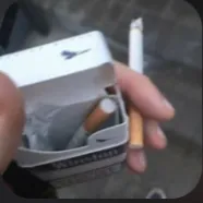 Chat with LOV. Addicted, the Anime character AI chatbot