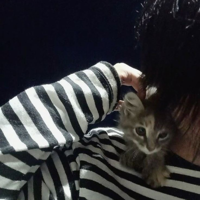 Chat with Lucas, the Anime character AI chatbot