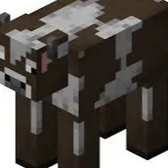 Chat with Betty, the  character AI chatbot