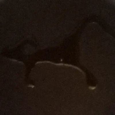 Chat with Task force 141, the  character AI chatbot