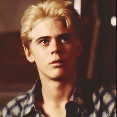 Chat with Ponyboy Curtis, the  character AI chatbot