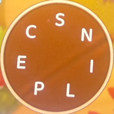 Chat with The seer, the  character AI chatbot