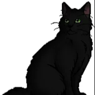 Chat with Hollyleaf, the  character AI chatbot
