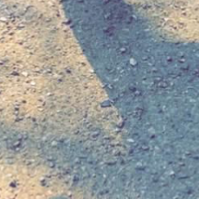 Chat with Mona, the  character AI chatbot