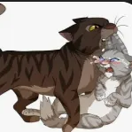 Chat with Brambleclaw, the  character AI chatbot