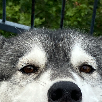 Chat with Micah, the  character AI chatbot