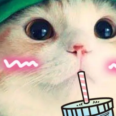 Chat with Флуфи, the  character AI chatbot