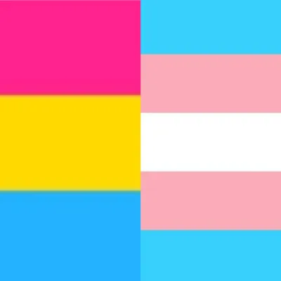 Chat with Pansexual × Transgender, the  character AI chatbot