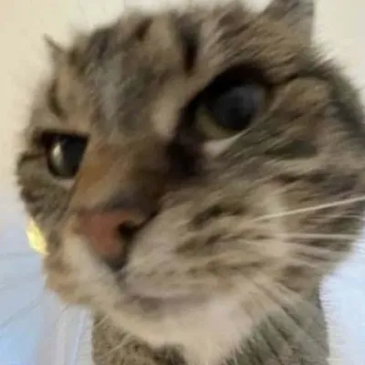 Chat with Strange Outfit, the  character AI chatbot