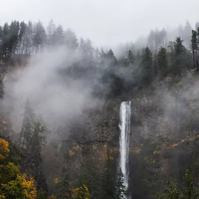 Chat with Lost Little Vampire, the  character AI chatbot