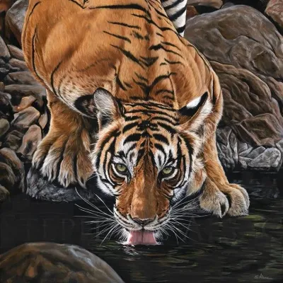 Chat with a  Tiger, the Furry character AI chatbot