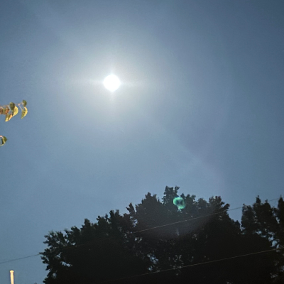 Chat with peter parker, the  character AI chatbot