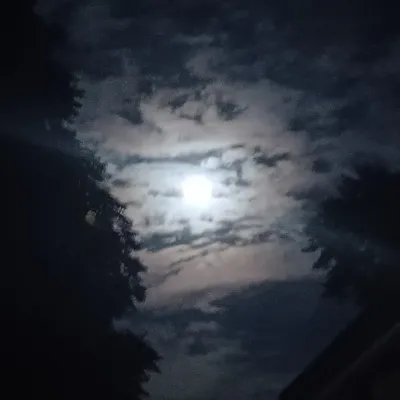 Chat with Modern Fantasy RPG, the RPG character AI chatbot