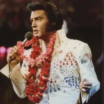 Chat with Elvis Presley, the  character AI chatbot