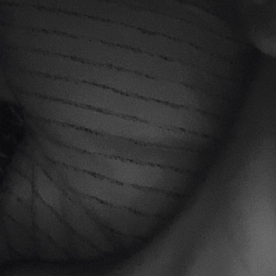 Chat with Louise dahl, the  character AI chatbot