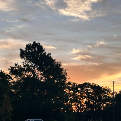 Chat with Roman, the  character AI chatbot