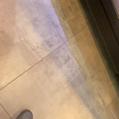 Chat with Tante, the  character AI chatbot