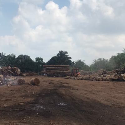 Chat with Lilly, the  character AI chatbot